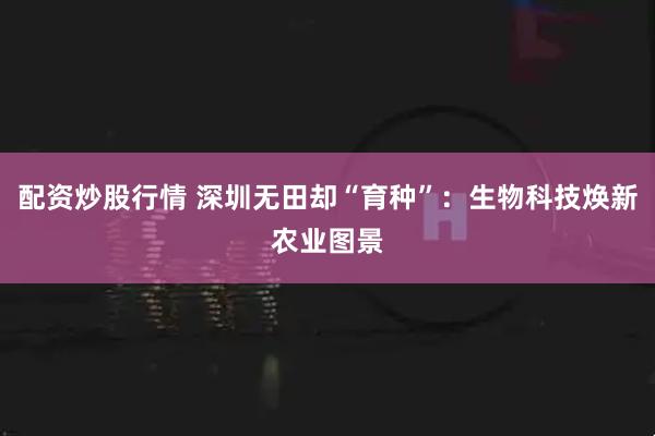 配资炒股行情 深圳无田却“育种”：生物科技焕新农业图景
