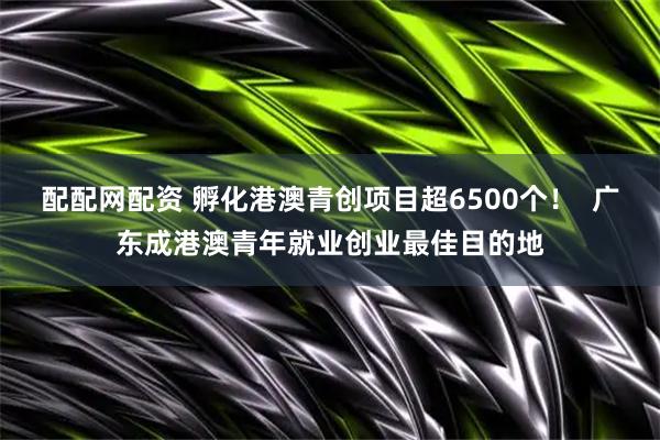 配配网配资 孵化港澳青创项目超6500个！  广东成港澳青年就业创业最佳目的地